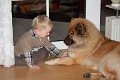 boji und thies (9)